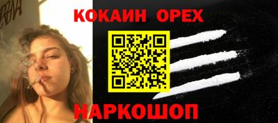 крисы Краснодар